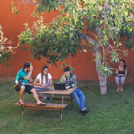 Cactus Coliving & Coworking Bed & Breakfast *