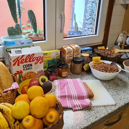 Cactus Coliving & Coworking Bed & Breakfast