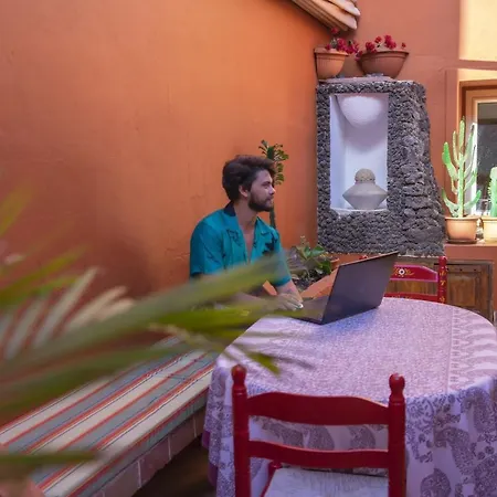 Cactus Coliving & Coworking Bed & Breakfast